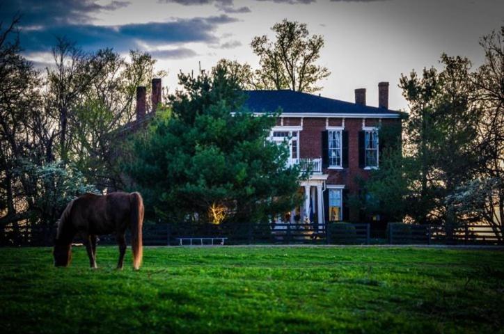 Maple Hill Manor Bed & Breakfast Springfield Екстер'єр фото